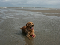 Louis am Strand