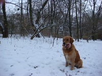 Louis im Schnee