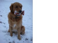 Louis im Schnee
