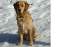 Louis im Schnee