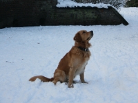 Louis im Schnee