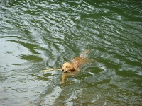 Louis im Wasser