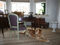 Im Wohnzimmer